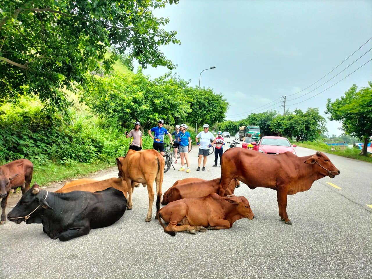 Vietnam Cycling Expedition: From Hanoi to Ca Mau 19 Days